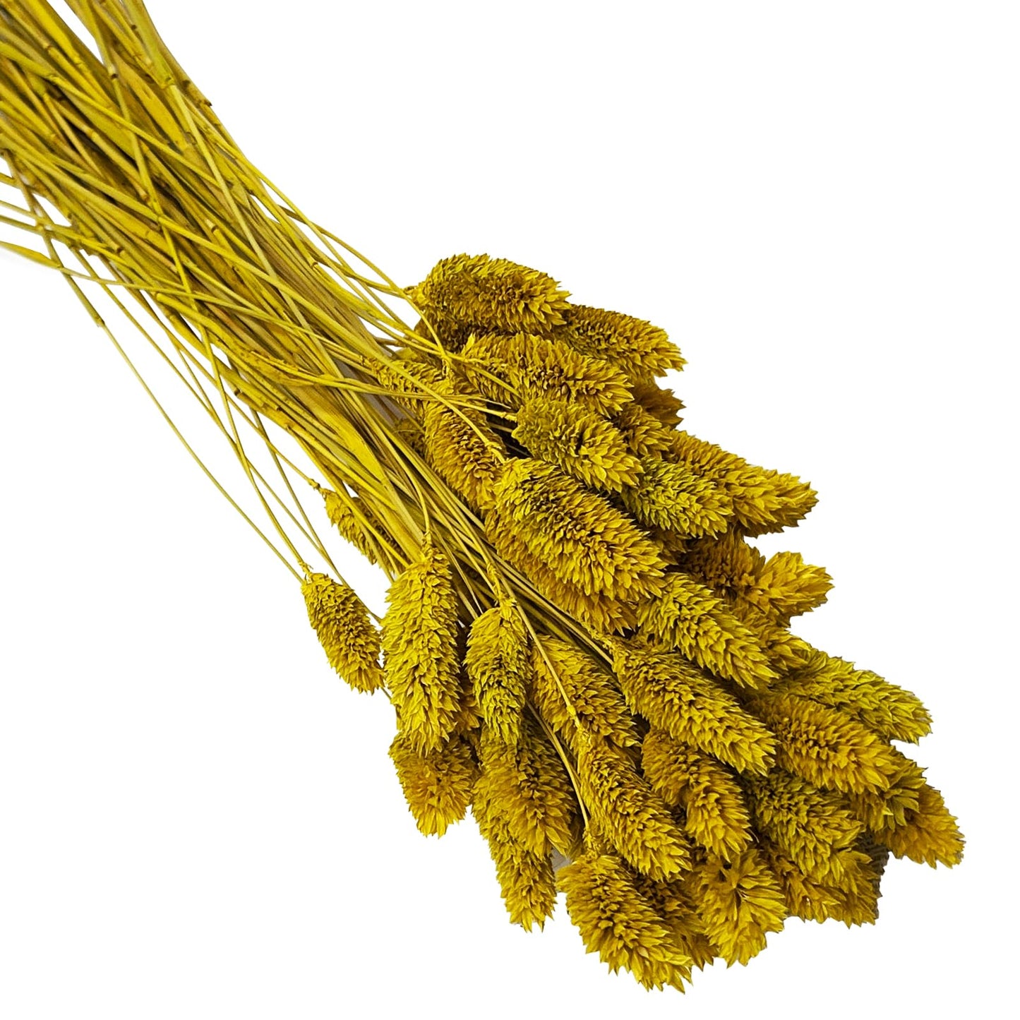 120 PCS Boho Pampas Grass, 17" Bunny Tails Gem Grass Flower Bouquet Decor for Home Wedding Farmhouse Decor (Lemon Yellow)