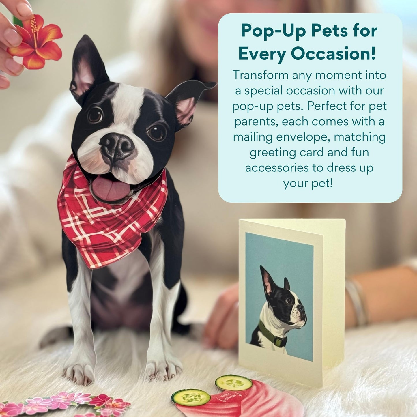 Freshcut Paper Pop Up Pet Cards, Gifts for Dog Lovers, Birthday Cards with Accessory Sheet, Note Card & Envelope, 3D Popup Greeting Card, Boston Terrier