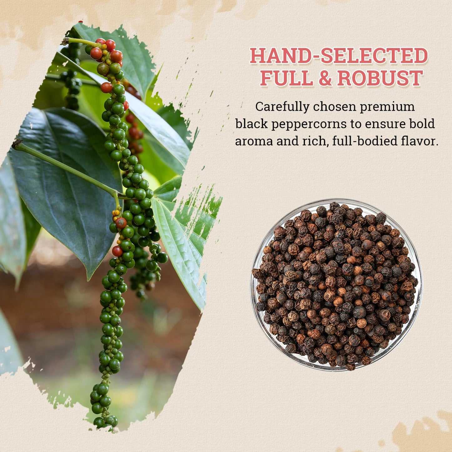 52USA Whole Black Peppercorns 18 oz + Himalayan Pink Salt (Coarse Grain) 39 oz, Salt and Pepper Grinder, Black Peppercorn Refil, Kosher Salt for Grinder Refill, Pink Himalayan Sea Salt, 2 Piece Set