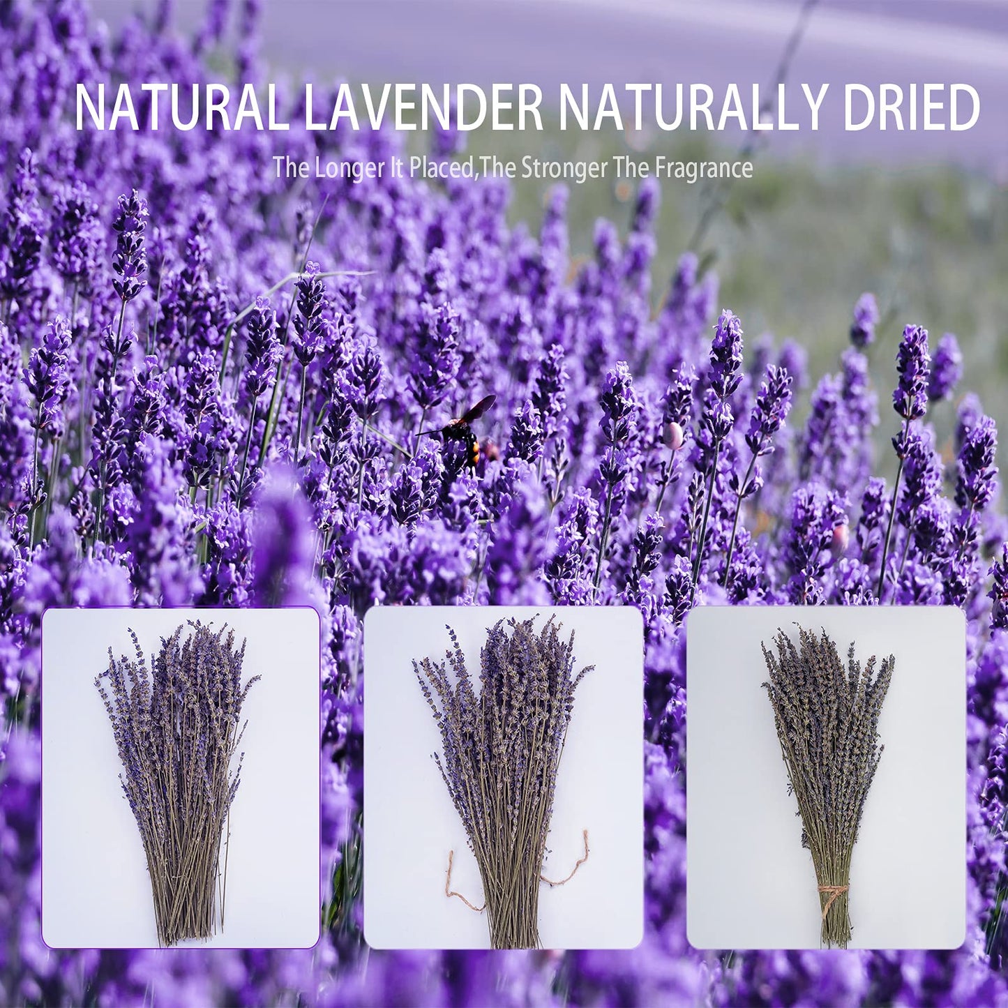 Dried Lavender Bundles, Uieke Natural Dried Lavender Flowers 280-300 Stems 16“ for Home Weeding Decoration Flower Arrangements Home Fragrance 2 Bundles