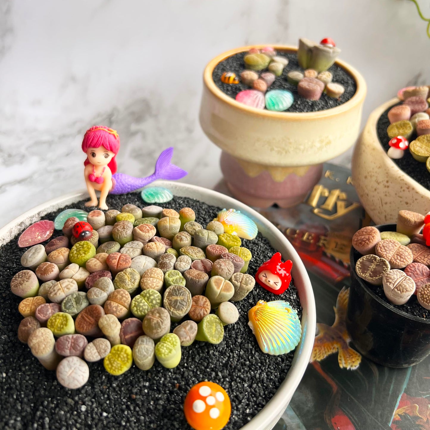 Lithops Large Random Mix Rare Live Succulent Plants, 30/50/100 Pcs 3 Years Bulk Succulent Live Plant, Bare Root Without Pot Soil, Garden Indoor, Plant Lover Gifts