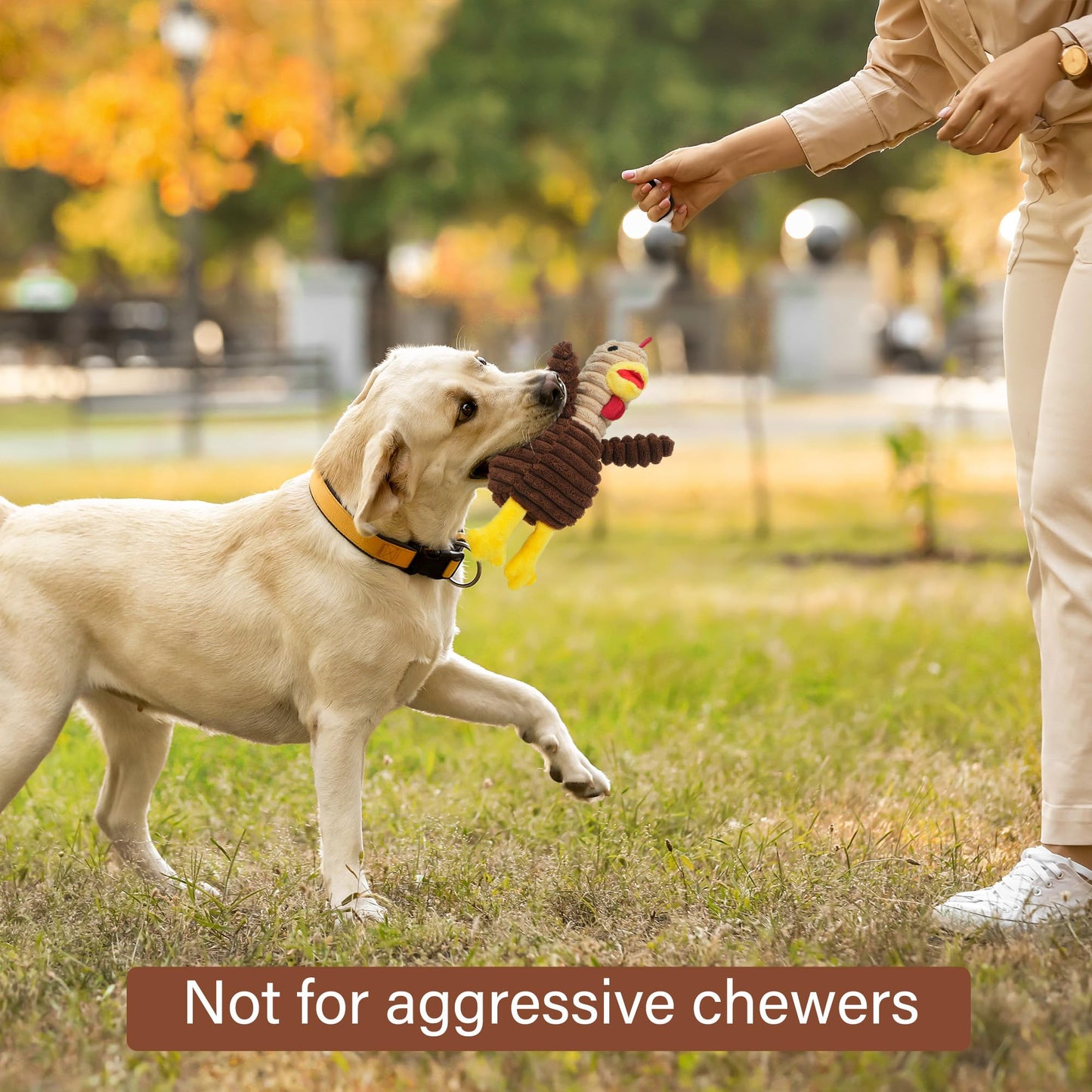 Prime Pets Dog Toys, 5 Pack, Plush Dog Squeaky Toys, Assortment Value Bundle Animal Pet Toy for Small Medium Large Dogs, Stuffed Puppy Chew Toy