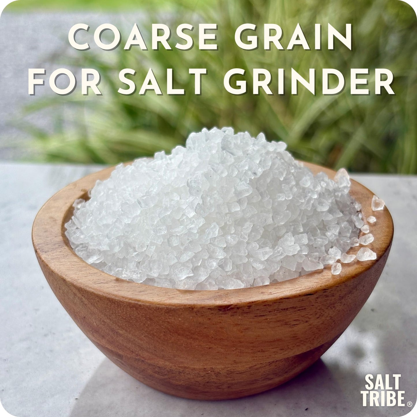 Salt Tribe | Baja Sea Salt | Coarse Natural Grain Salt for Grinder | 90+ Trace Minerals for Hydration Support | Sal Organica | Low Sodium Organic & Unrefined | Single Origin Mexico | 15oz | 425+ Servings
