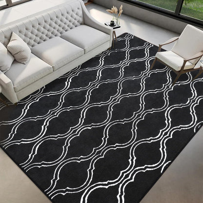 Washable Rugs for Bedroom Living Room, 4x6 Black Fluffy Shag Area Rug, Soft Modern Indoor Carpet for Dorm Boys Girls Kids Room Nursery Playroom Office Floor Rug Home Decor, Black/White
