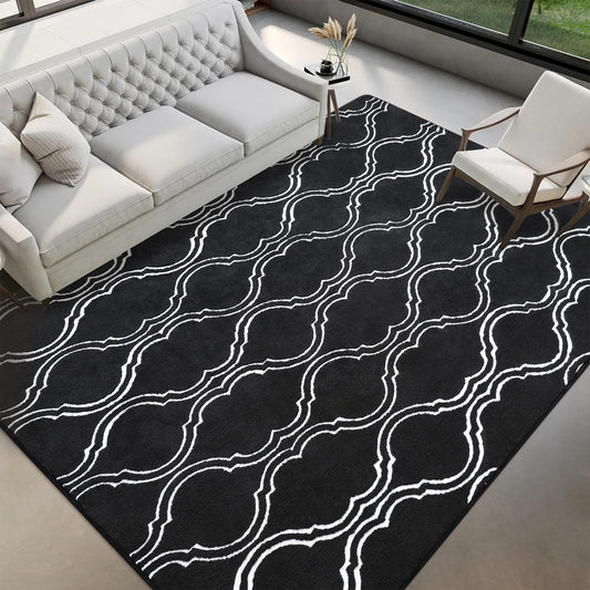 Washable Rugs for Bedroom Living Room, 4x6 Black Fluffy Shag Area Rug, Soft Modern Indoor Carpet for Dorm Boys Girls Kids Room Nursery Playroom Office Floor Rug Home Decor, Black/White