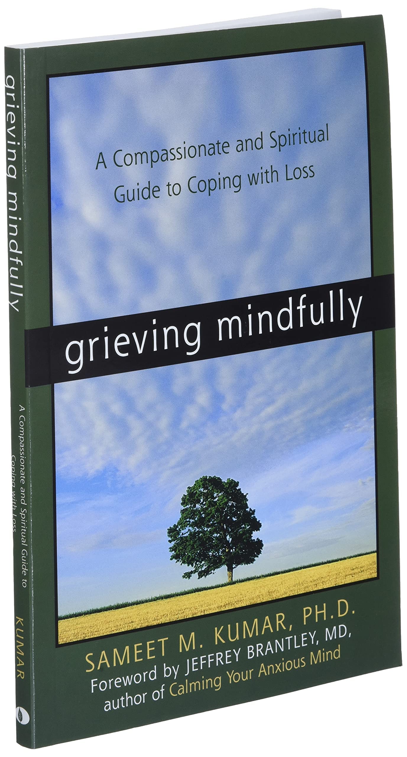 Grieving Mindfully: A Compassionate and Spiritual Guide to Coping with Loss