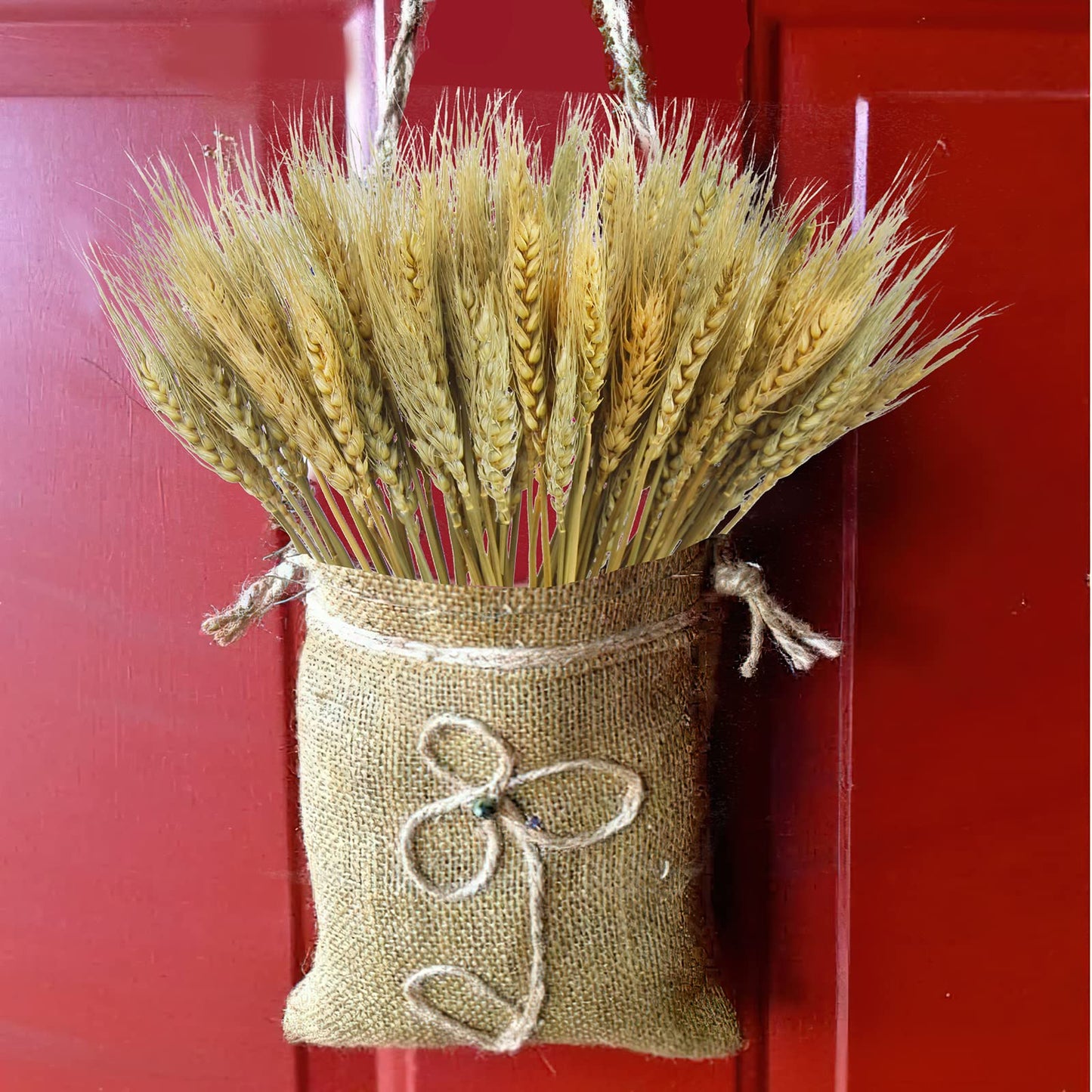 CISDUEO 100 Pcs Dried Wheat Stalks Bundle Grass Natural Dried Wheat Sheaves Stems Dried Flowers Arrangement Bouquet for Wedding Party Table Centerpiece Fall Harvest Wreath Boho Decor Farmhouse DIY