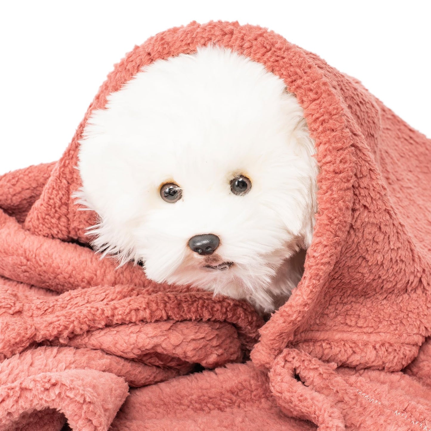 3 Blankets, Dog Cat Pet Blanket, Soft Warm Fleece, for Puppy, Small Dogs or Kitten, Cats, Plush Fuzzy Blanket for Bed, Sofa, Travel (32" x 24", 3/Pack, Lavender+Pink+Dark Pink)