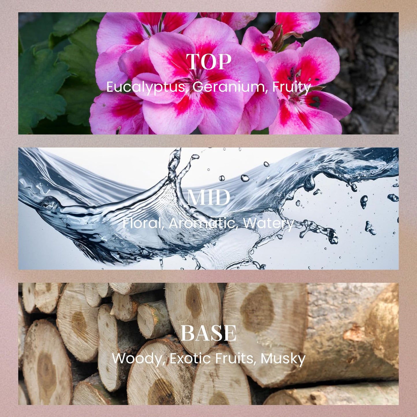 M&SENSE 8.4 oz Large Reed Diffuser for Home | Linen Breeze Scent Oil Diffuser with Sticks | Bedroom Bathroom Living Room Decor