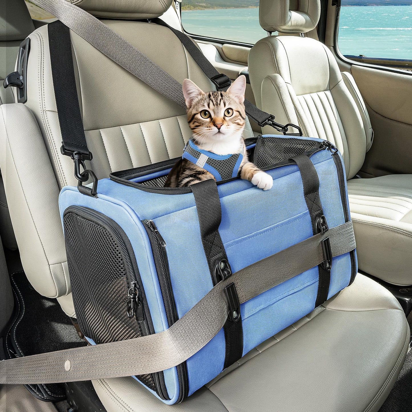 PETSFIT Soft-Sided Cat Carriers & Car Seats with Patent Safe Buckles, Clip-On Harness，18"x11"x11" Airline Approved Pet Carrier - 9 lbs Capacity (Blue)