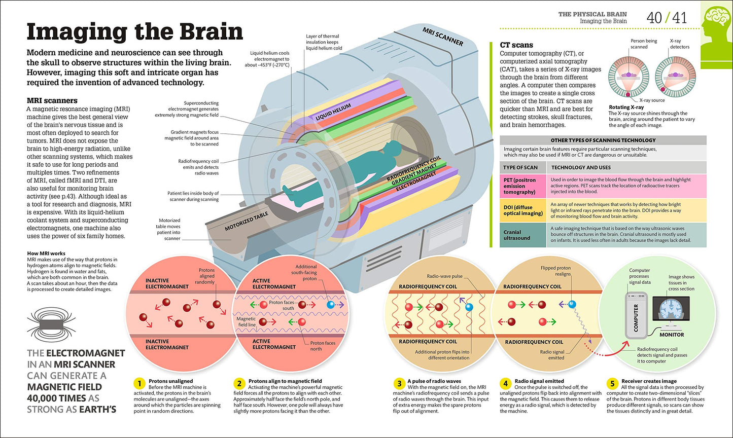 How the Brain Works: The Facts Visually Explained (DK How Stuff Works)