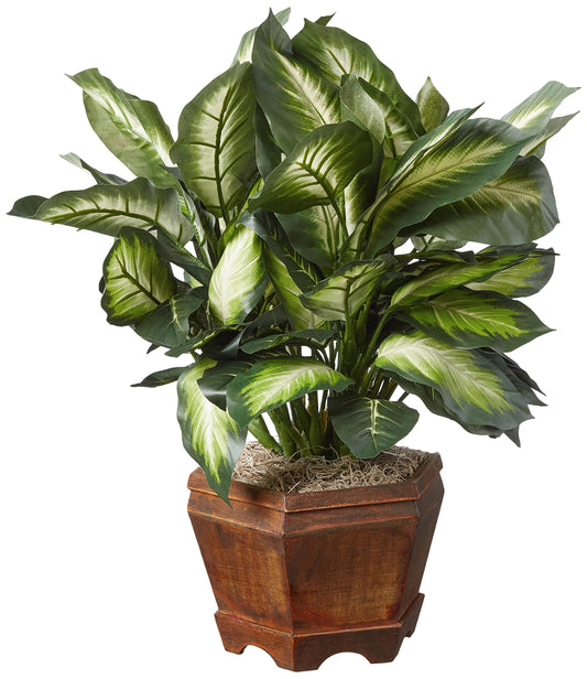 Nearly Natural 22IN Artificial Triple Golden Dieffenbachia Plant with Decorative Wood Planter, Faux Plant for Indoor Home Décor