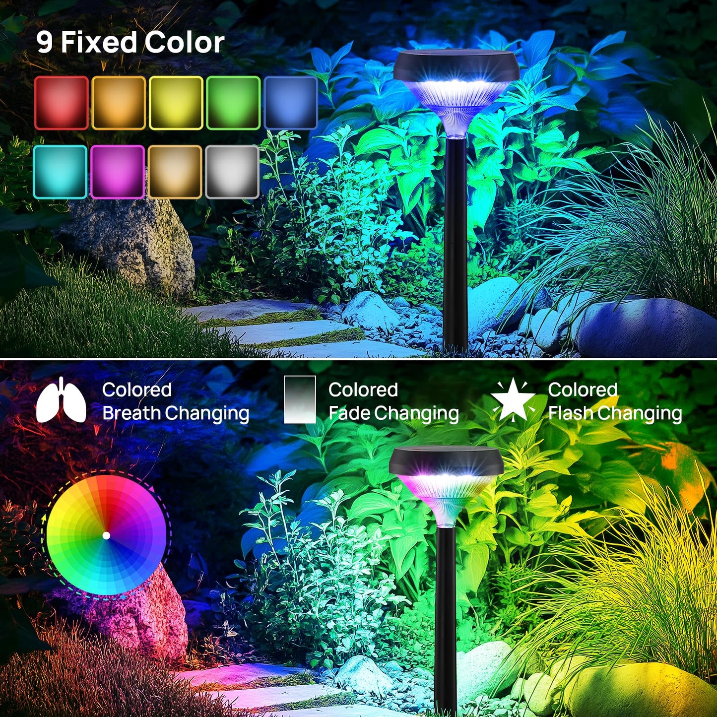 Linkind Solar Pathway Lights 8 Pack, Color Changing Path Lights Outdoor Waterproof, Multicolor+Warm White+Cool White Solar Lights for Walkway Pathway Yard Garden Landscape