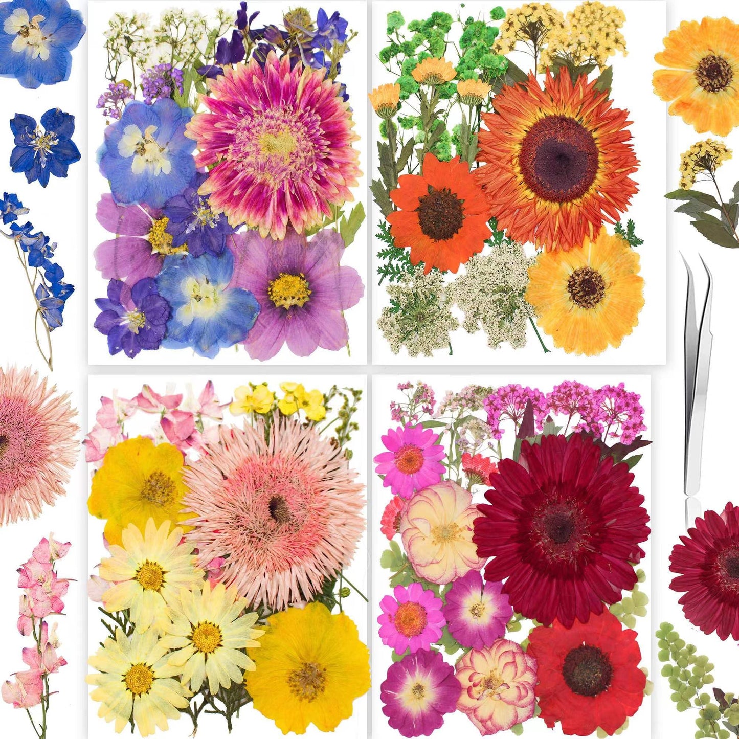 221PCS Real Nature Dried Pressed Flowers for Resin Craft, Dry Pressing Floral with Butterfly Transparent Stickers Set for DIY Jewelry Making Nail Card Scrapbook Art Eternity Summer