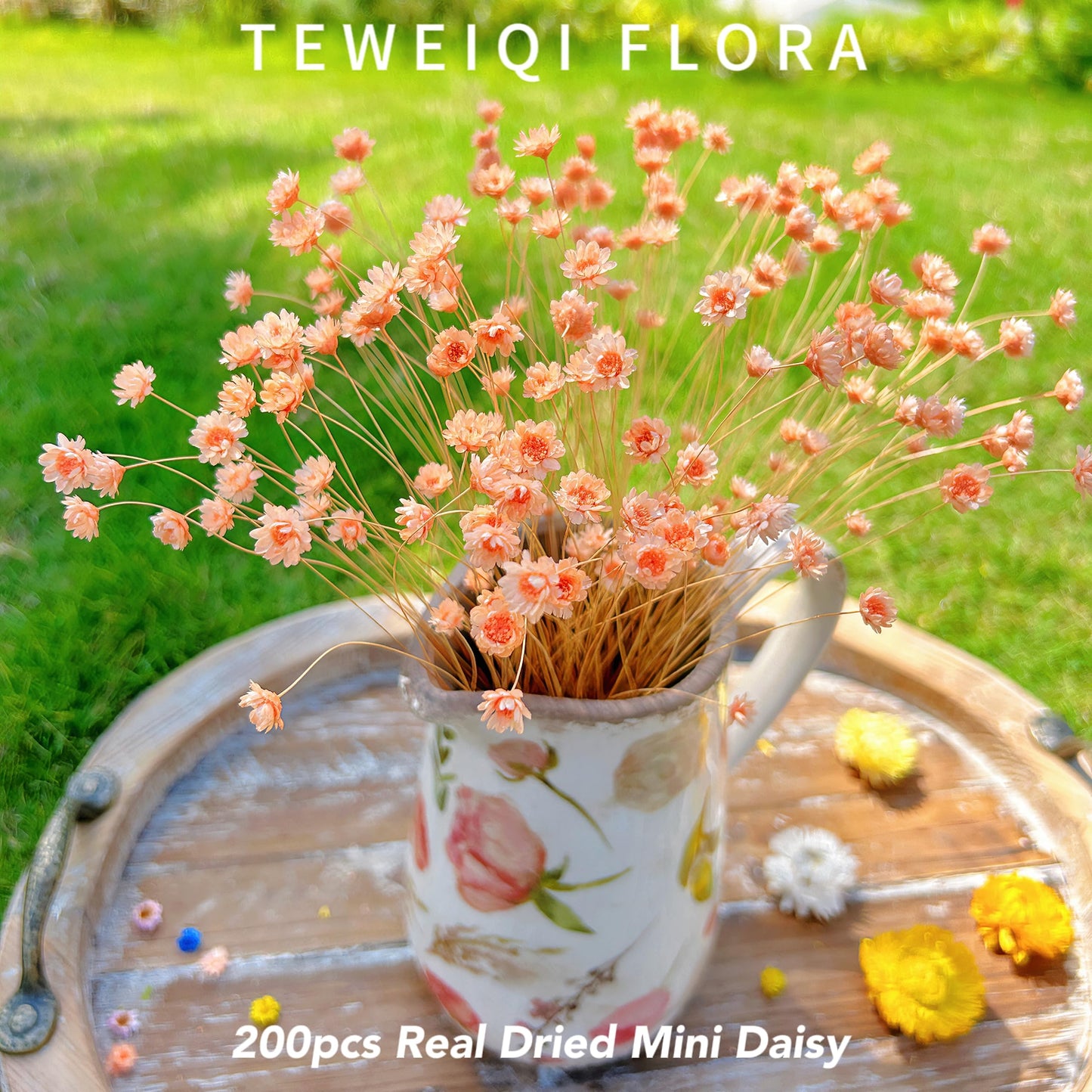 200 Stems Natural Dried Flowers Brazilian Small Star Daisy Dried Decorative Mini Chamomile Bouquet for Wedding Floral Arrangements Home Decorations Valentine's Day Gifts (Orange)