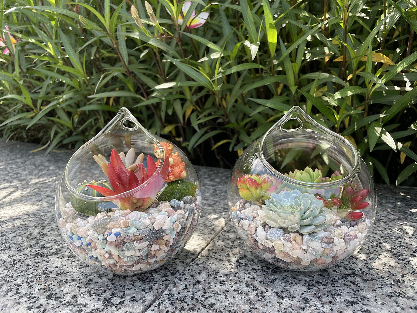 Ivolador Hanging Planter Glass Terrarium Container Air Plant Holder Succulents Globe Shape Home Garden Decor-4.7 Inches-3PCS