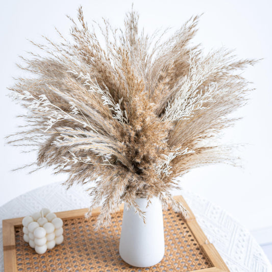 WILD AUTUMN Pampas Grass Decor dreid Flowers Fluffy pompas Grass vase Filler White Pampas Wedding Boho deocr Flowers Home Table Decor, Rustic Farmhouse (01-20Brown&20White)
