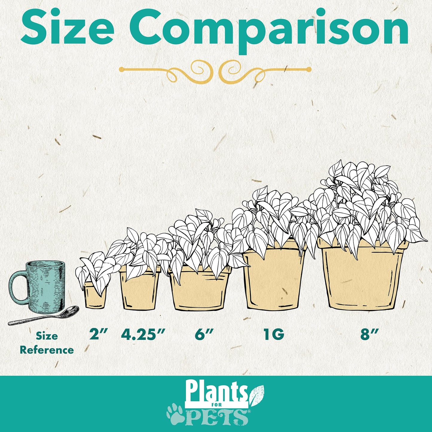 Easy to Grow Houseplants (Pack of 6), Live House Plants in Containers, Growers Choice Plant Set in Planters with Potting Soil Mix, Home Décor Planting Kit or Outdoor Garden Gifts by Plants for Pets