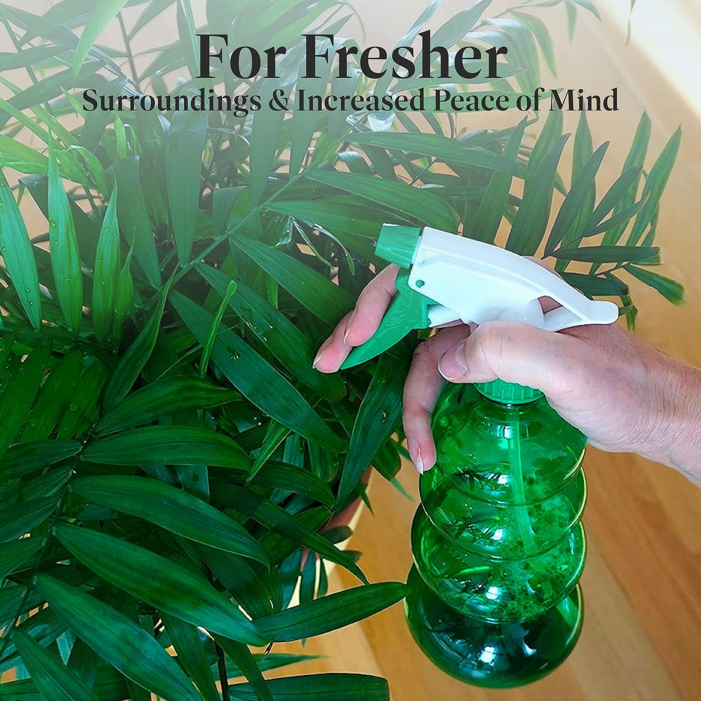 American Plant Exchange Parlor Palm – Live 6-Inch Potted Houseplant, Easy-Care Air-Purifying Indoor Palm, Low-Light Tolerant Tropical Plant for Home, Office, Bedroom & Modern Indoor Décor