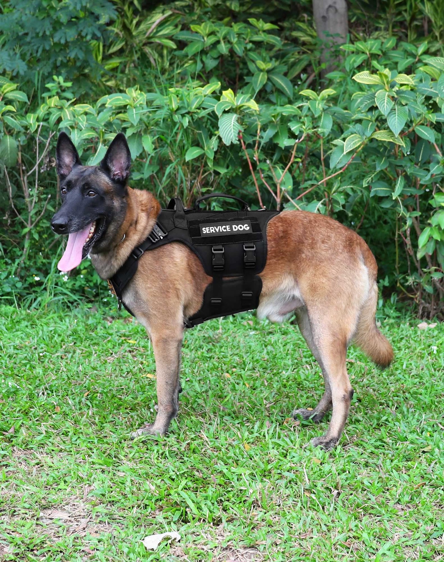 Tactical Dog Harness - PETNANNY Dog Harness Service Dog Vest for Large Breed Dog, Hook and Loop Panel for Service Dog Patchs, Work Dog MOLLE Vest with Handle for Walking Hiking Training(Black,L)