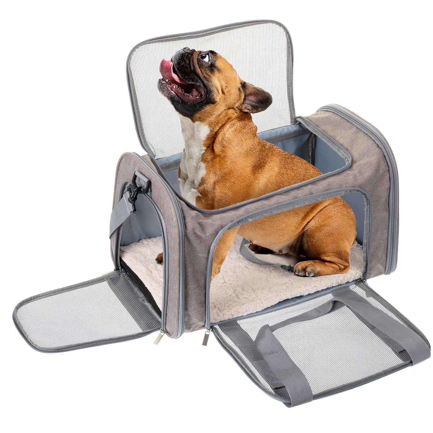 Mr. Pen- Pet Carrier, Cat Carrier, Dog Carrier, Cat Bag Carrier, Cat Travel Carrier, Soft Cat Carrier, Dog Travel Carrier, Pet Travel Carrier, Dog Soft-Sided Carriers