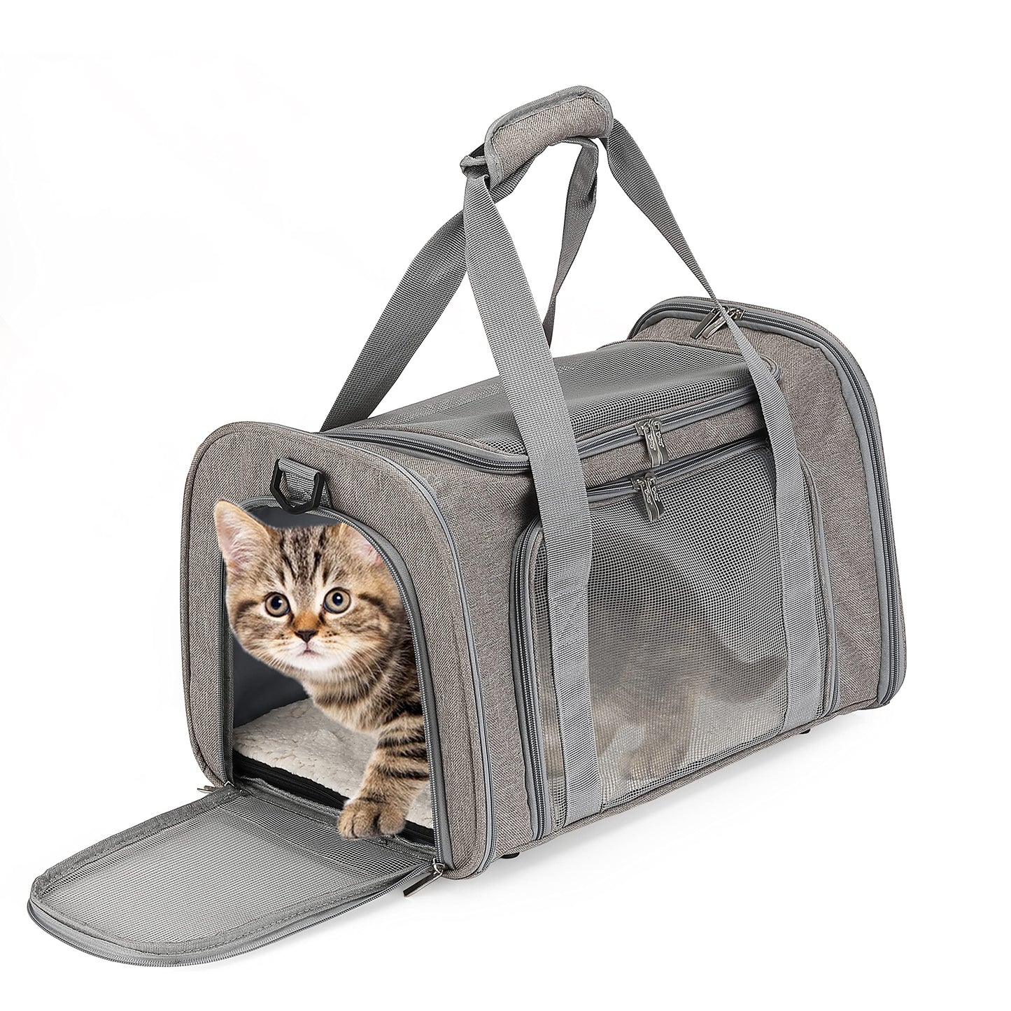 Mr. Pen- Pet Carrier, Cat Carrier, Dog Carrier, Cat Bag Carrier, Cat Travel Carrier, Soft Cat Carrier, Dog Travel Carrier, Pet Travel Carrier, Dog Soft-Sided Carriers