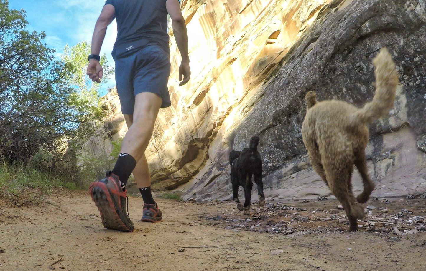 Swiftwick- ASPIRE FOUR (3 Pairs) Cycling & Trail Socks, Breathable, Compression Fit (Pewter, Large)