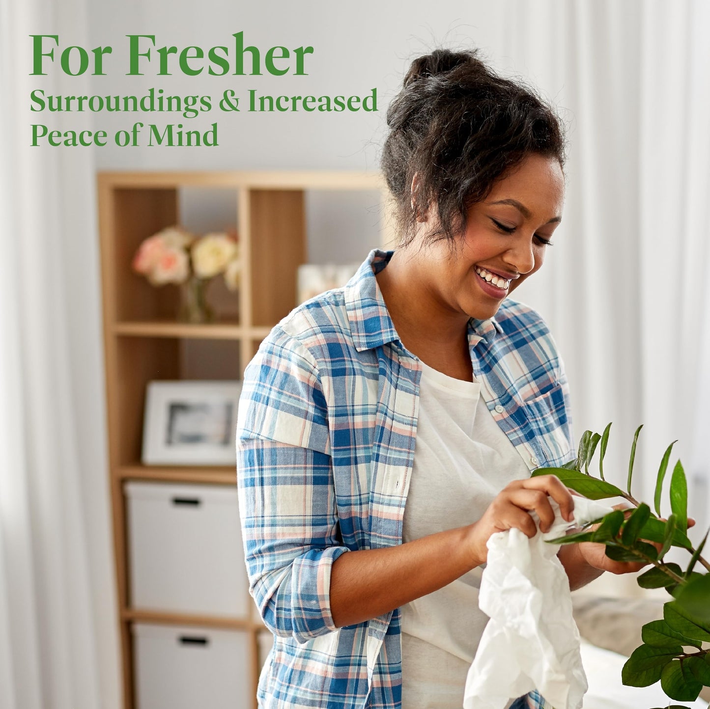 American Plant Exchange ZZ Plant 'Zanzibar Gem' – 6-Inch Pot – Live Easy Care Drought-Tolerant Houseplant, Low-Light Indoor Plant for Home, Office, & Modern Décor