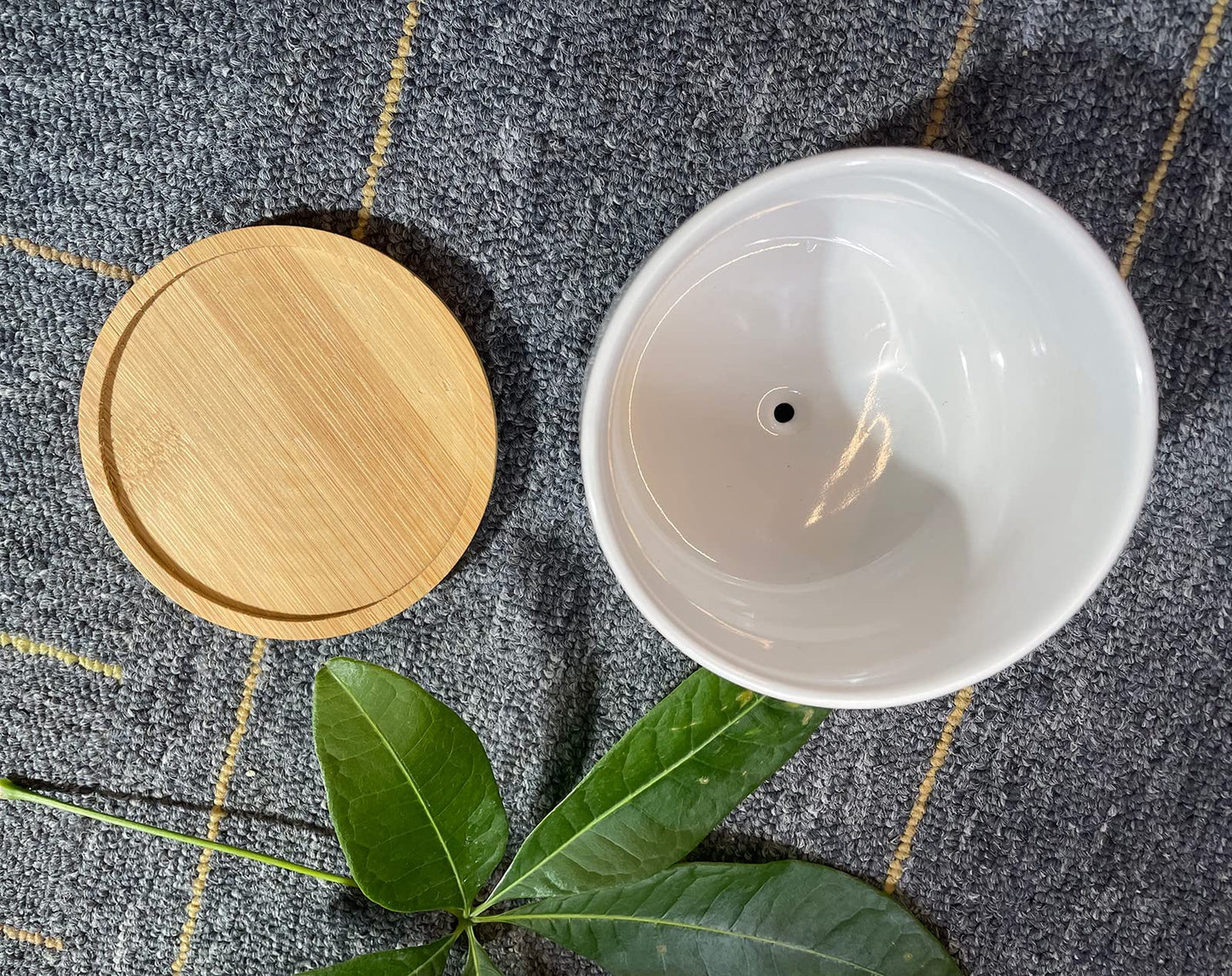 Funny Life Would SUCC Without You Planter Pots, White Ceramic Engraved Mini Succulent Cactus Planter Pot, Home Office Windowsill Plant Pots for Plant Lover Birthday