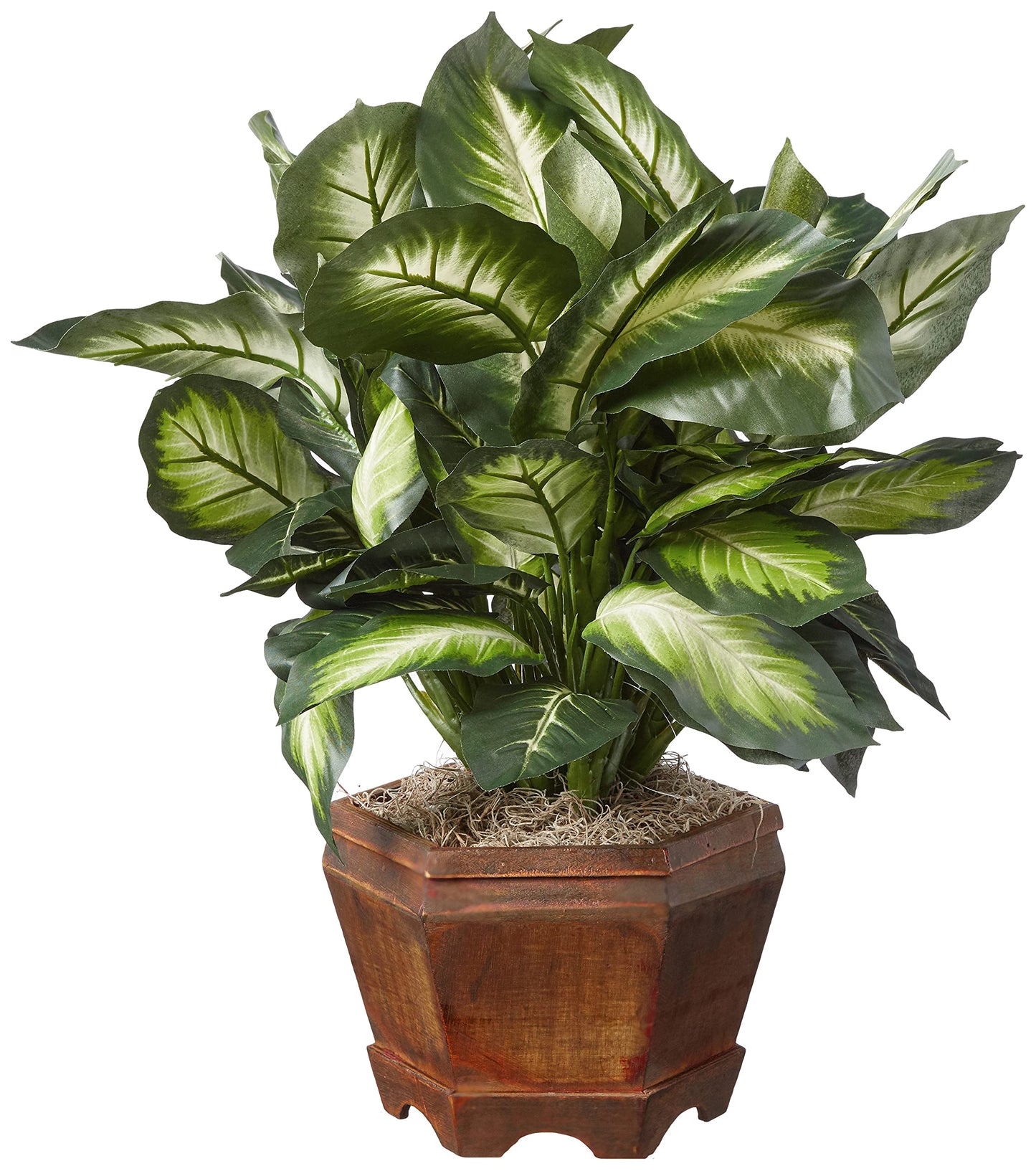 Nearly Natural 22IN Artificial Triple Golden Dieffenbachia Plant with Decorative Wood Planter, Faux Plant for Indoor Home Décor