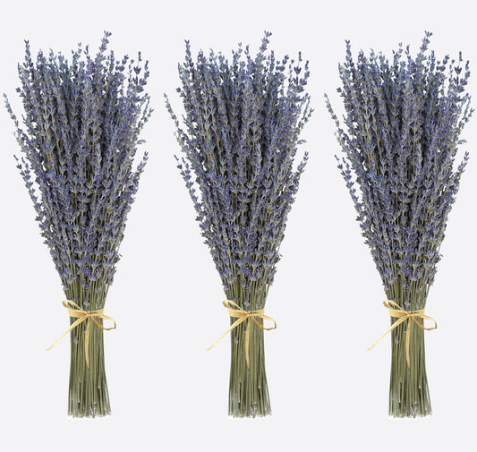 Dried Lavender 3 Bunches 100% Fresh Natural Purple Bouquet Flowers for Bathroom Photo Props Crafts Decoration, 15-17" for Shower Weeding Vase Decor, Aromatherapy Home Fragrance(300-330 Stems Total)